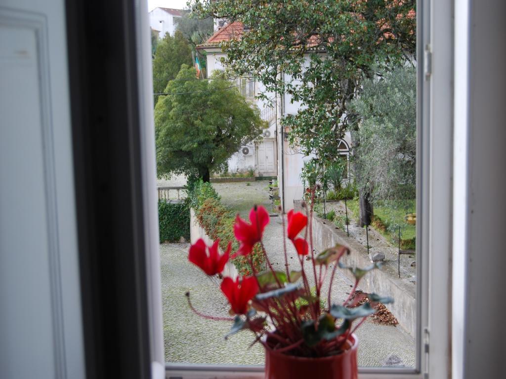 Adore Portugal Coimbra Guest House Dış mekan fotoğraf
