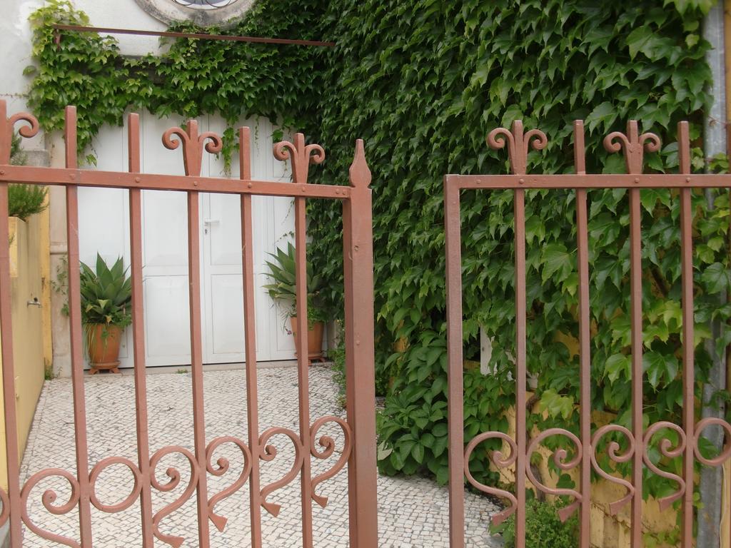 Adore Portugal Coimbra Guest House Dış mekan fotoğraf